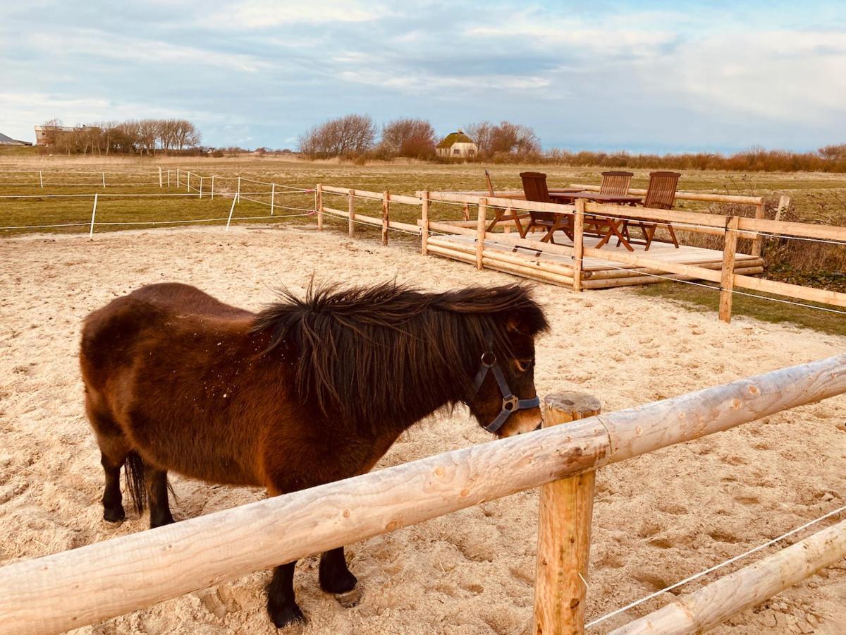 Hof Steinhuetten Boutique Apartments Westerhever Eksteriør bilde